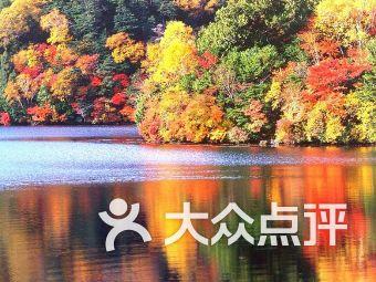广西大学校园内有哪些地标性建筑?红迪网 - 专注分享广西大学校园内有哪些地标性建筑?的讨论社区